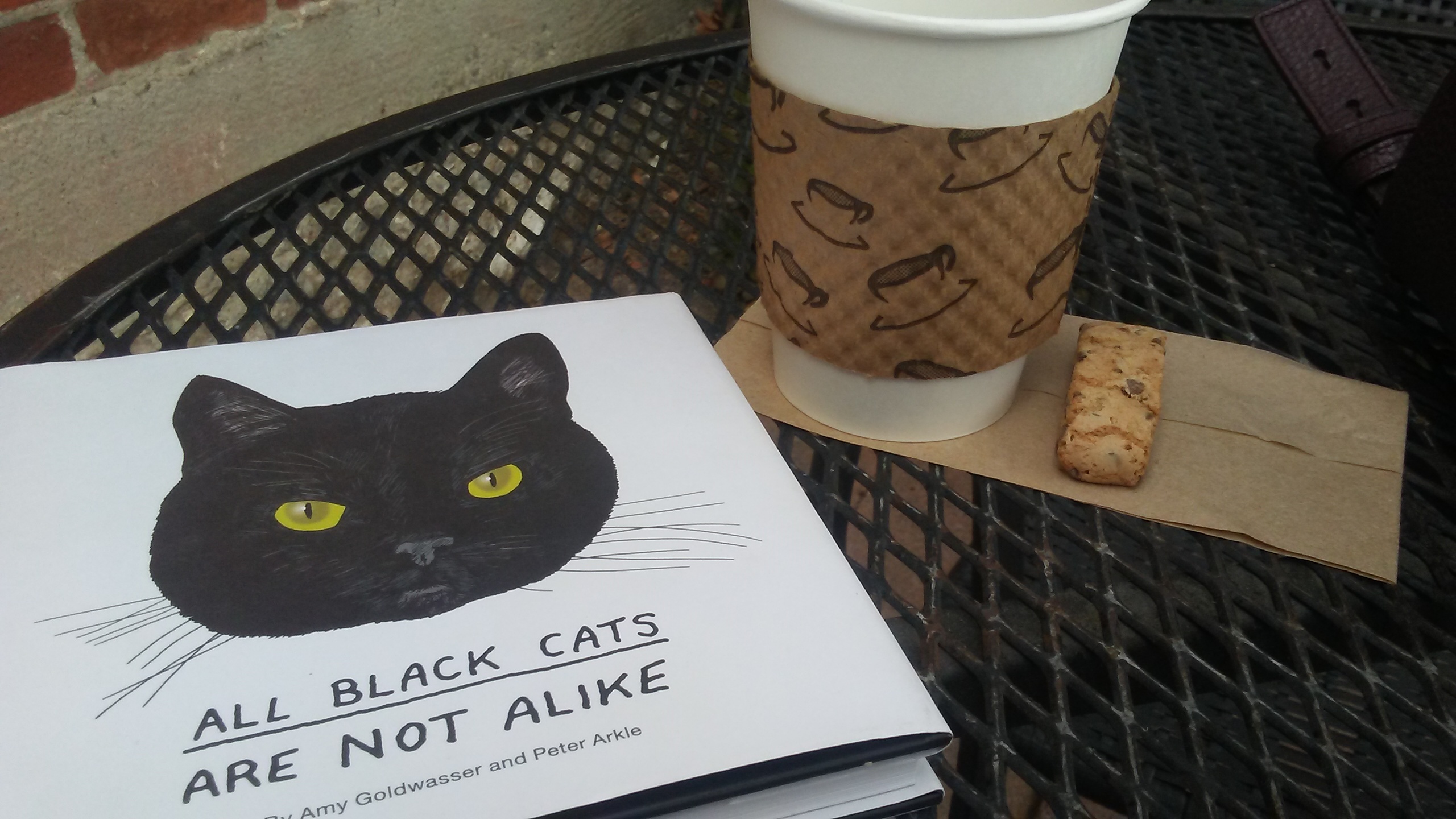 All Black Cats Are Not Alike