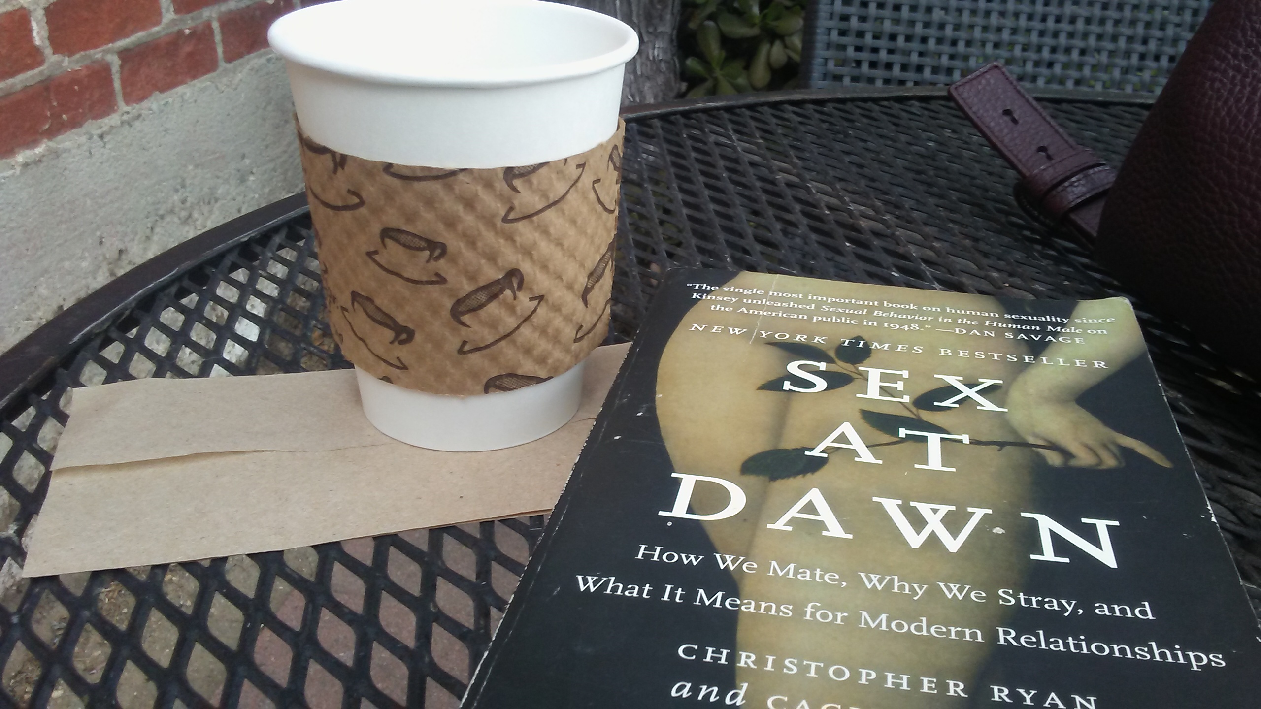 Sex At Dawn – How We Mate, Why We Stray, & What it Means…